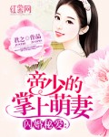 闪婚秘爱：帝少的掌上萌妻